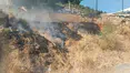 Muğla Bodrum Konacık Sanayi Sitesinde Yangın Paniği!