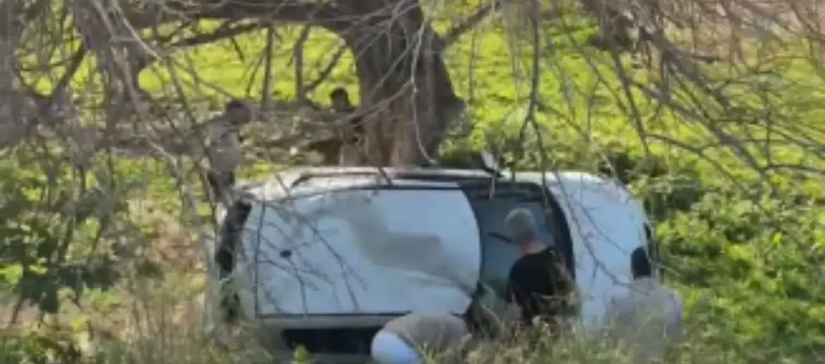 Bodrum'da Feci Kaza: Direksiyon Hakimiyetini Kaybeden Araç Uçtu