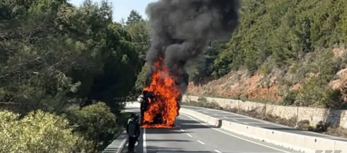 Muğla Sakar Geçidi'nde Odun Yüklü Tırda Yangın Çıktı