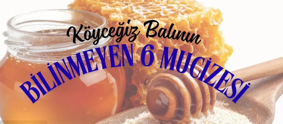 Bağışıklık Sisteminiz İçin Doğal Kalkan: Köyceğiz Balının Bilinmeyen 6 Mucizesi