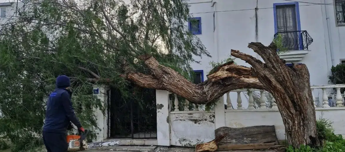 Köyceğiz'de Fırtına Alarmı: Rüzgarın Hızı 100 Km'yi Bulacak!