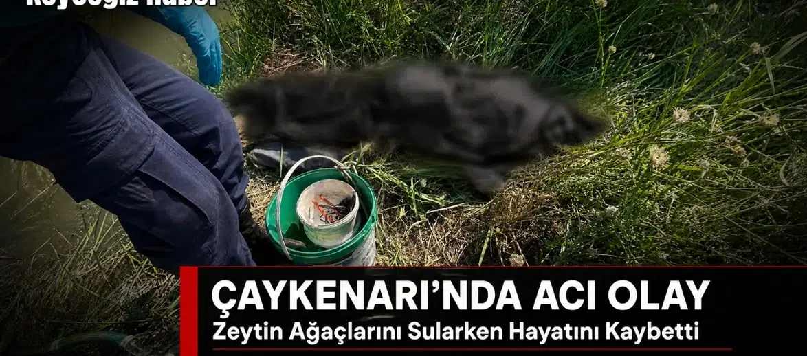 Mehmet Duva Zeytin Ağaçlarını Sularken Can Verdi
