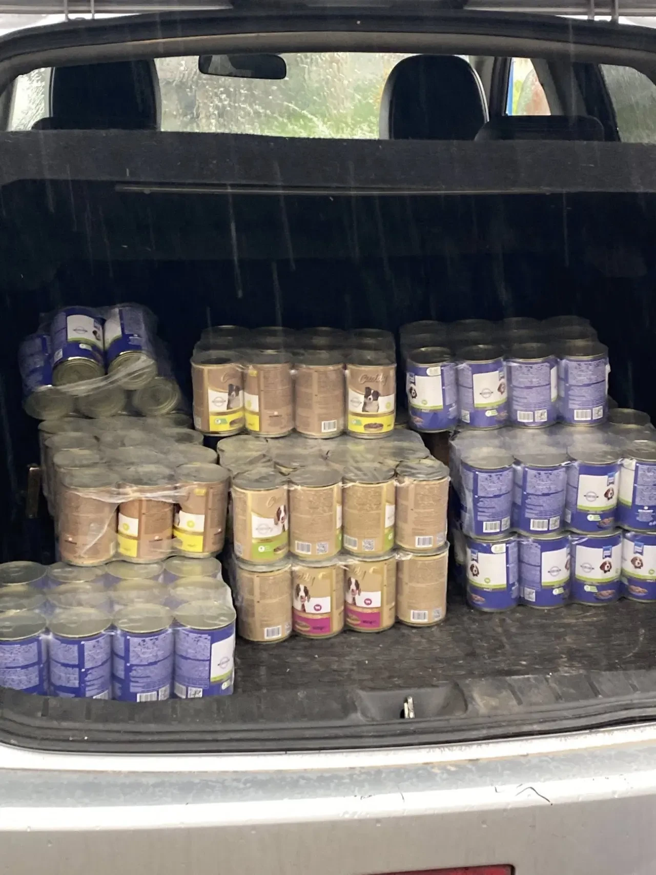 Köyceğiz’de Yardım Çığlığı Ses Getirdi 3