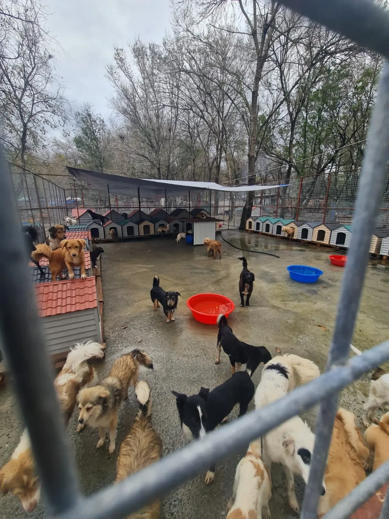 Köyceğiz’de Yardım Çığlığı Ses Getirdi 1