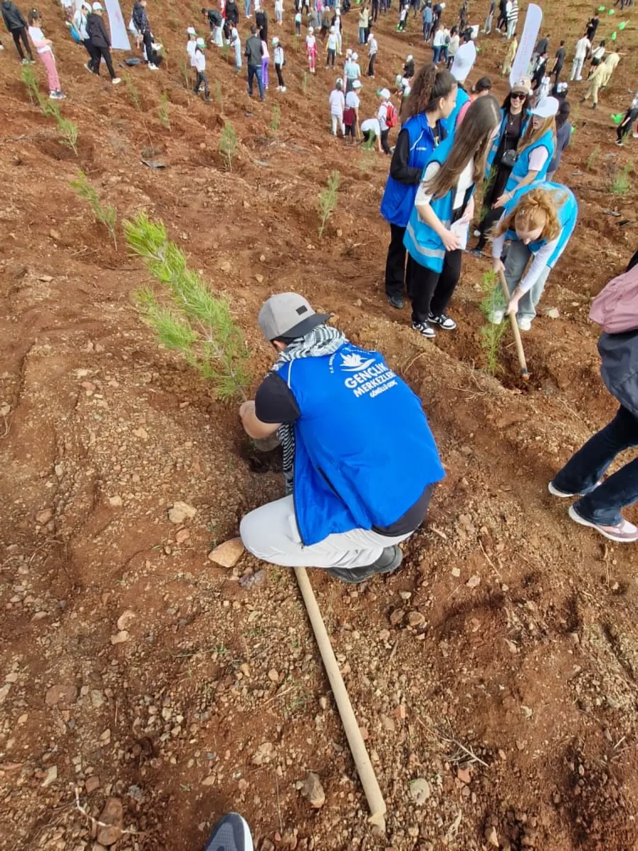 11 Kasım Milli Ağaçlandırma Günü: Köyceğiz Gençleri Fidan Dikimiyle Destek Verdi 7
