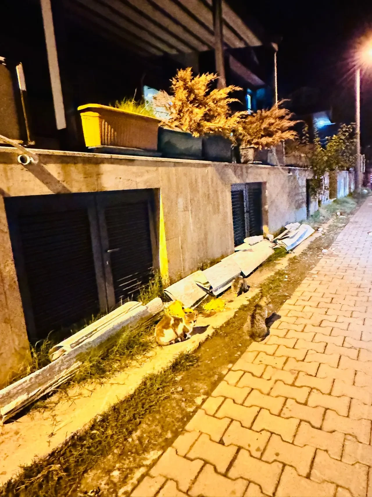 Gülpınar Mahallesi’nde Moloz Tepkisi: Muhtar Ramazan Yorulmaz’dan Temizlik Çağrısı 2