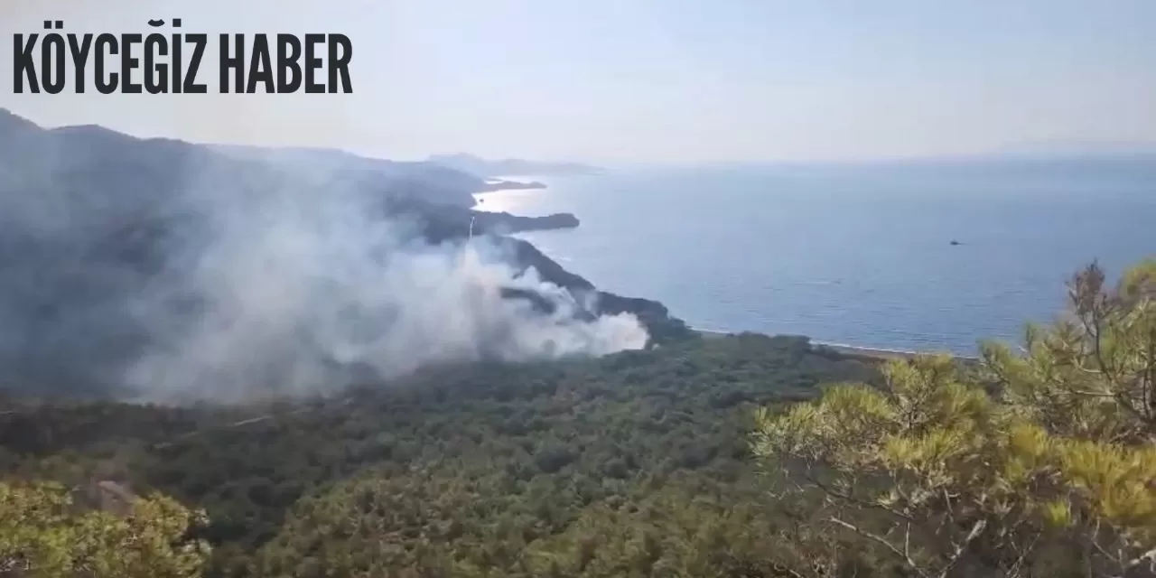 Muğla Datça‘da çıkan yangın ile mücadele devam ediyor!