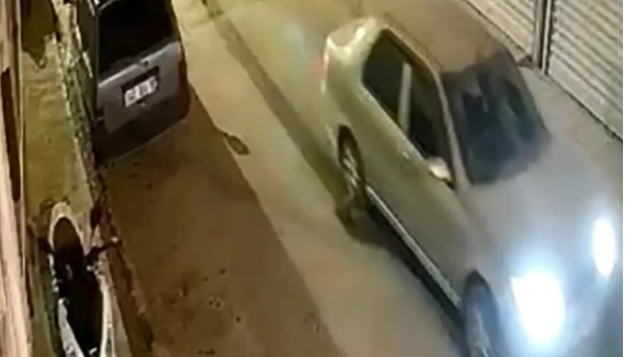 Milas’ta Nesli Tükenmekte Olan Oklu Kirpi Araç Altında Sürüklendi: Hayvan Telef Oldu