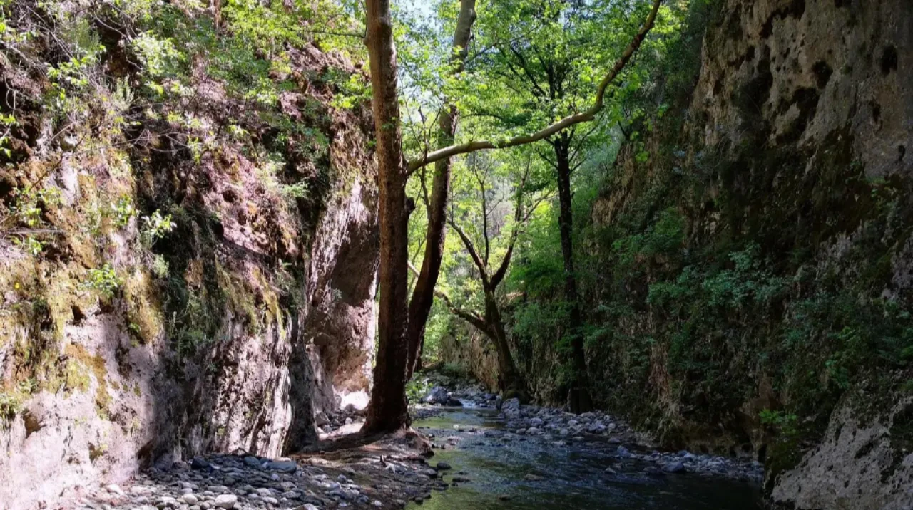 Geyik Vadisi Köyceğiz: Geyik Kanyonu Nerede, Nasıl Gidilir, Adresi, Telefon, Rezarvasyon Numarası