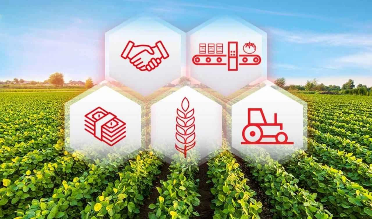 Muğla’da 12 Tarımsal Örgüt TODES’ten 1. Derece Aldı