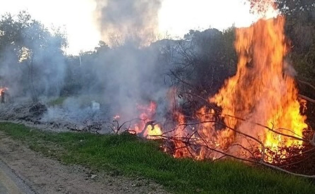 Milas’ta Aynı Anda İki Orman Yangını Çıktı; Müdahale Başladı