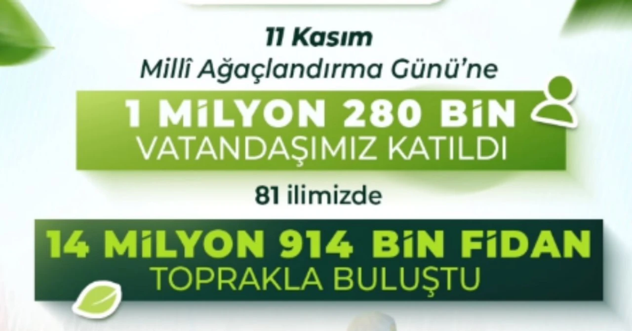 Yeşil Vatan Seferberliği: 14 milyon Fidan Toprakla Buluştu