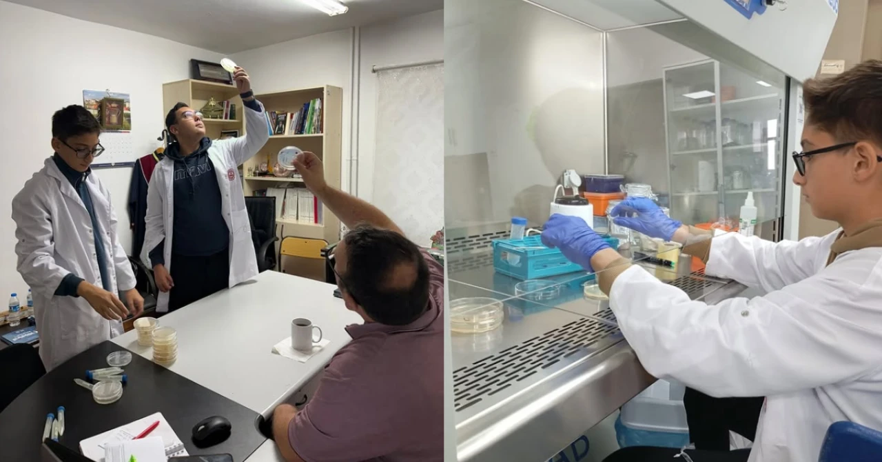 Köyceğiz BİLSEM’den TÜBİTAK’a Zeytin Projesi