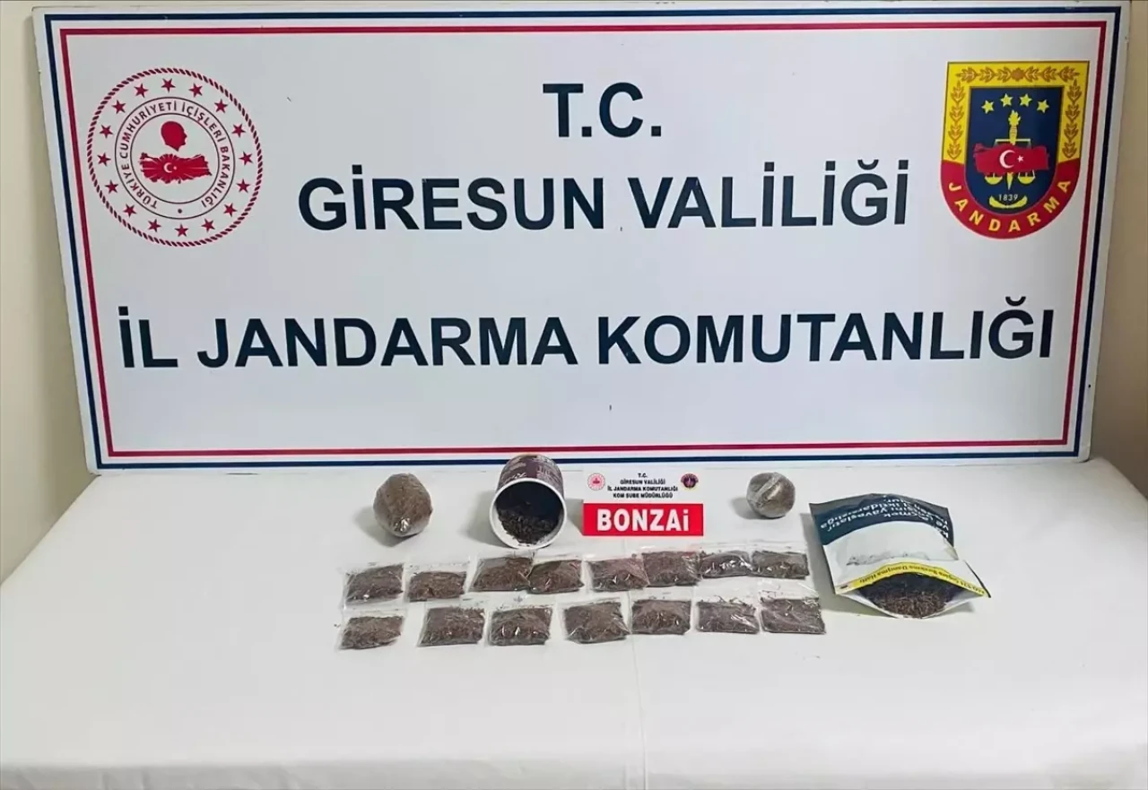 Giresun’da Uyuşturucu Operasyonu! 550 Gram Sentetik Madde Ele Geçirildi, Bir Kişi Tutuklandı