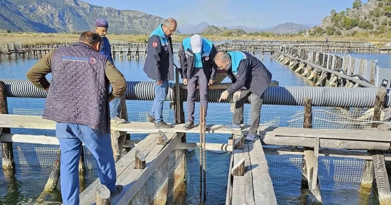 Köyceğiz ve Dalyan’da 2 Sepet ve 5 Barbun Ağı Ele Geçirildi
