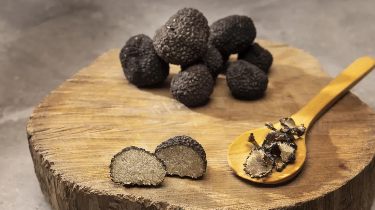 Köyceğiz MYO’da Trüf Mantarı Semineri Düzenleniyor