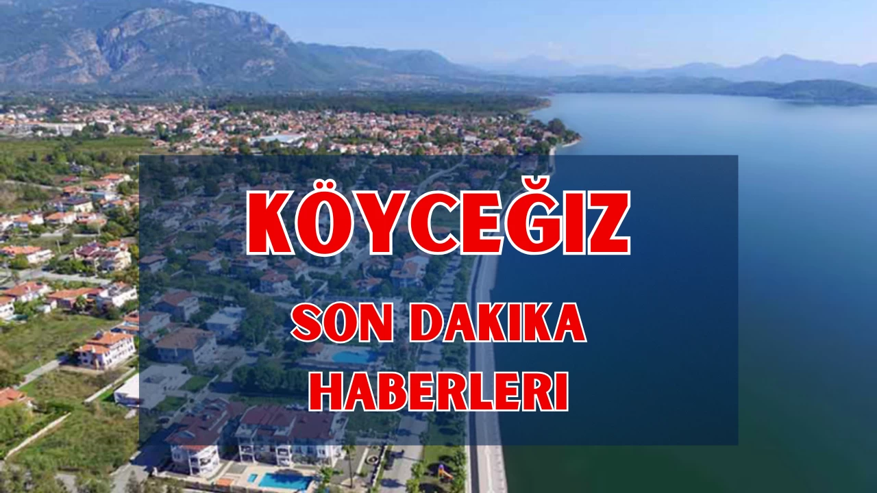 Köyceğiz Haber: Son Dakika Gelişmeler, Gündem Haberleri, Haberler Sitesi
