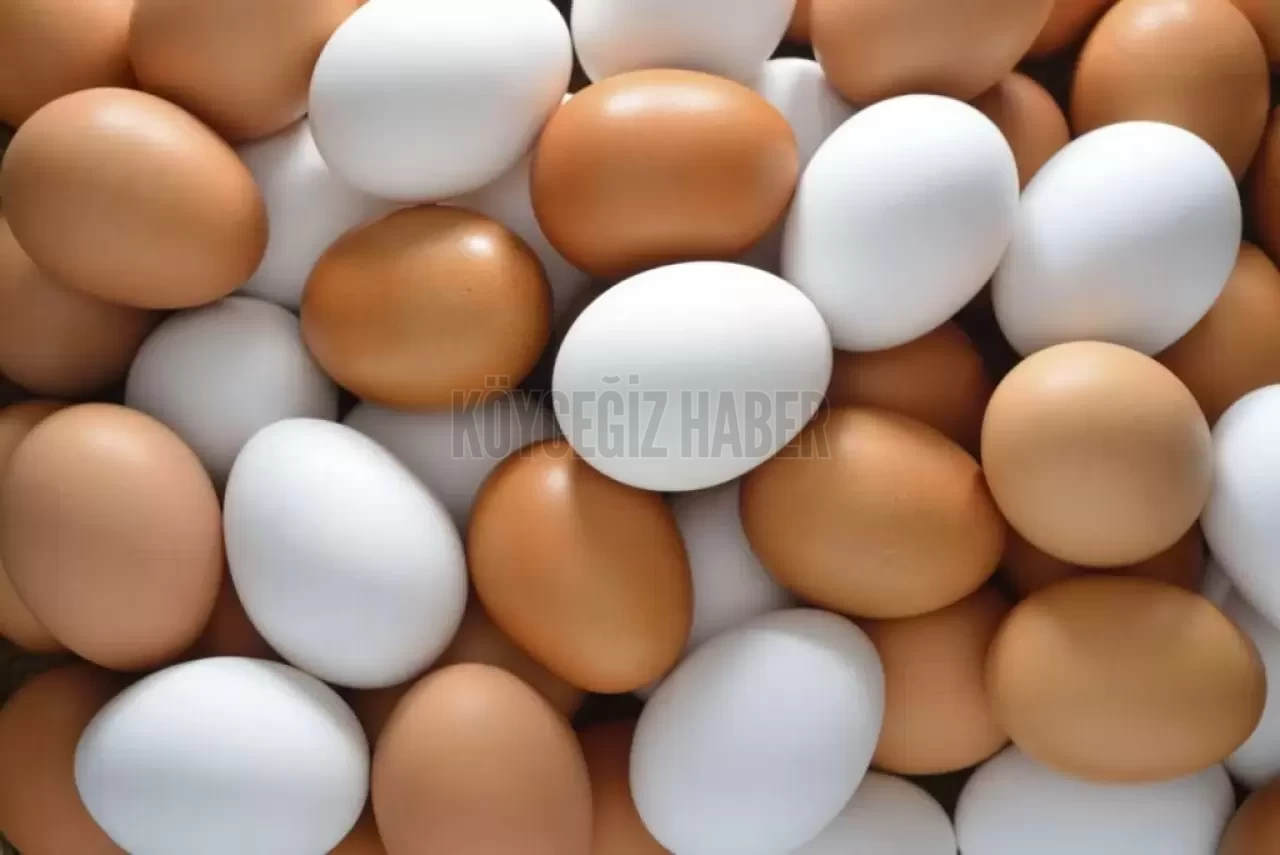 Yumurta Fiyatları Uçuşta: 120 Günde Yüzde Yüz Zamlandı!