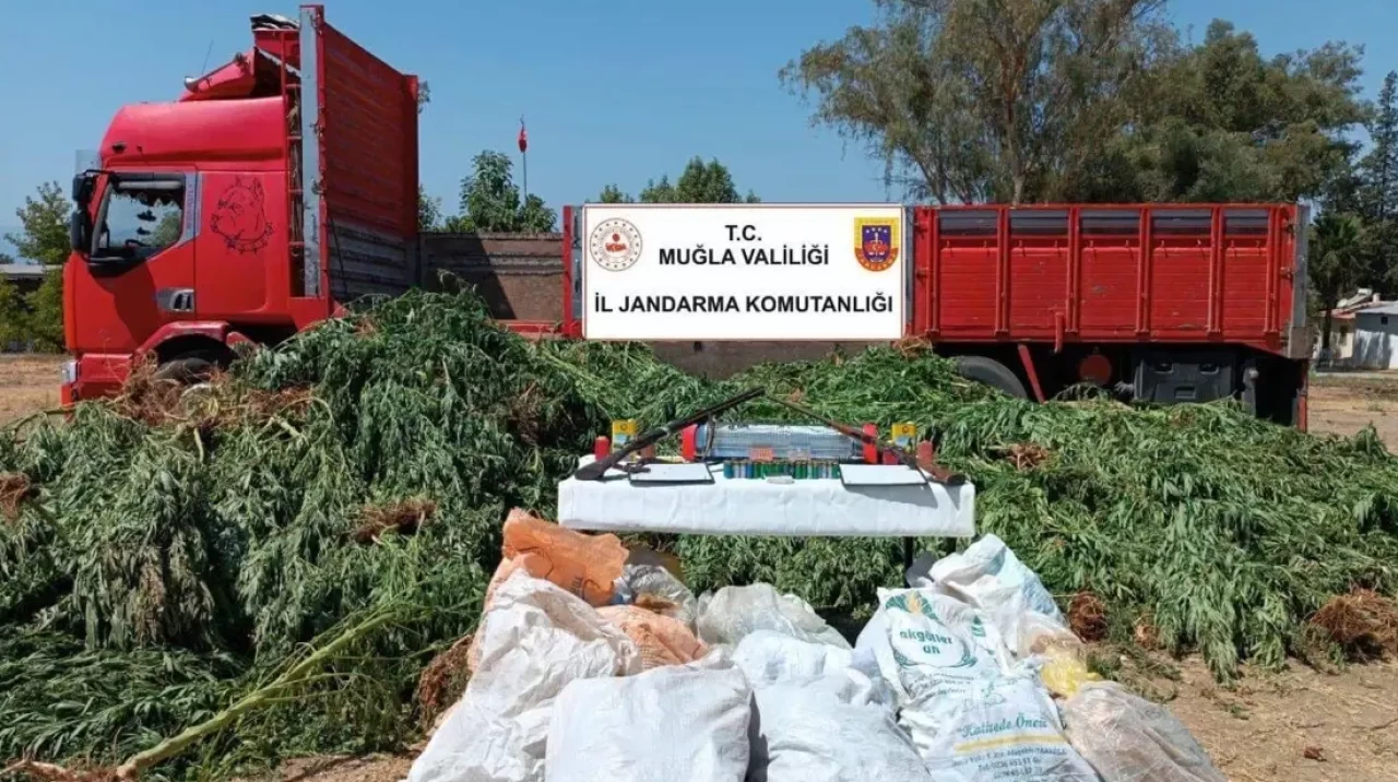 Köyceğiz’de Uyuşturucu Operasyonu: 5 Bin 126 Kök Hint Keneviri Ele Geçirildi, Evli Çift Tutuklandı