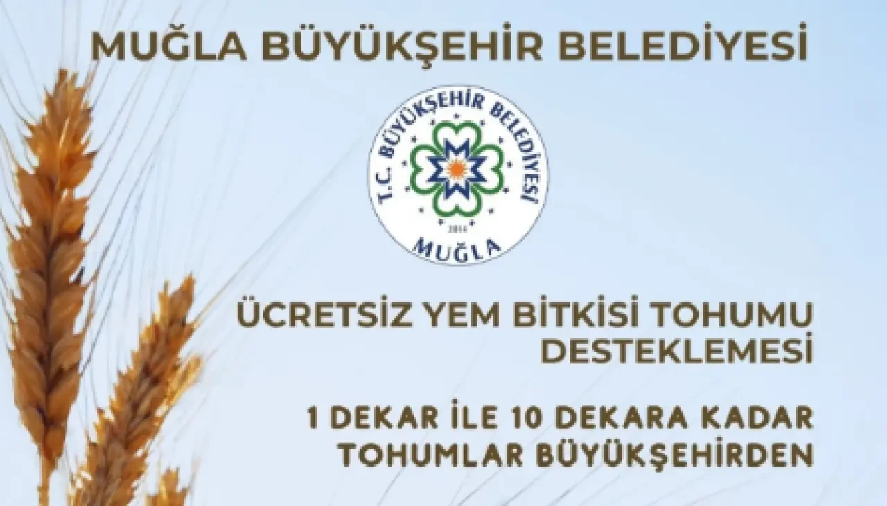 Muğla Büyükşehir Belediyesi’nden Ücretsiz Yem Bitkisi Tohumu Desteği: 1 Dekardan 10 Dekara Kadar Başvuru Alınıyor