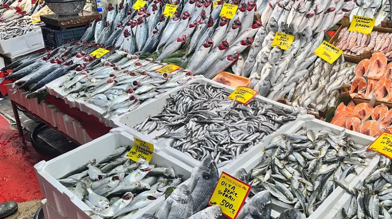 Balık Fiyatları Ne Kadar Oldu? Karadeniz’de Hamsi Bolluğu, Palamut Kıtlığı