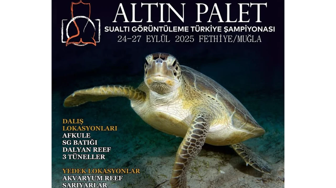 Altın Palet Sualtı Görüntüleme Türkiye Şampiyonası Fethiye’de Başladı: 24–27 Eylül’de Nefes Kesen Dalışlar