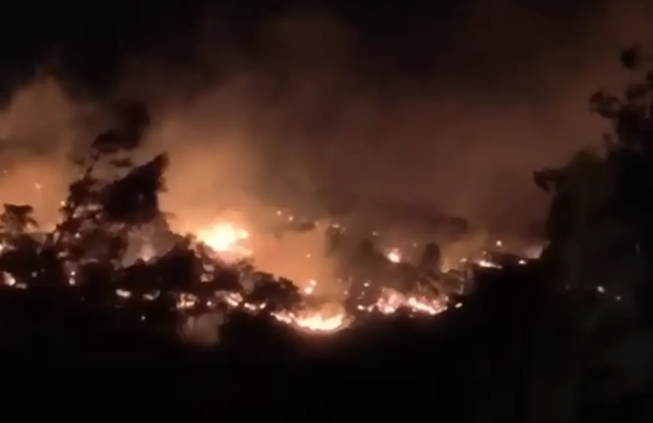 Köyceğiz Yangını Kontrol Altına Alındı! Soğutma Çalışmaları Devam Ediyor, Türkiye Tek Yürek Oldu