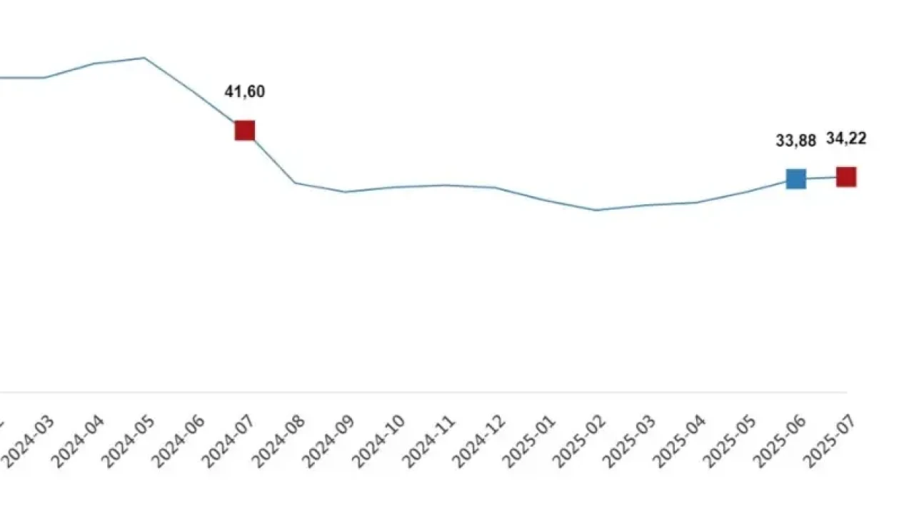 TÜİK Temmuz Verilerini Açıkladı: Tarımsal Girdi Fiyatlarında Yıllık Artış %34,22’ye Ulaştı