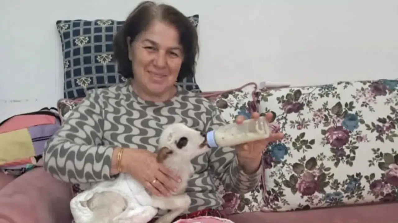 Yeşilyurt’ta Öksüz Kuzuya Evde Sevgi Dolu Bakım