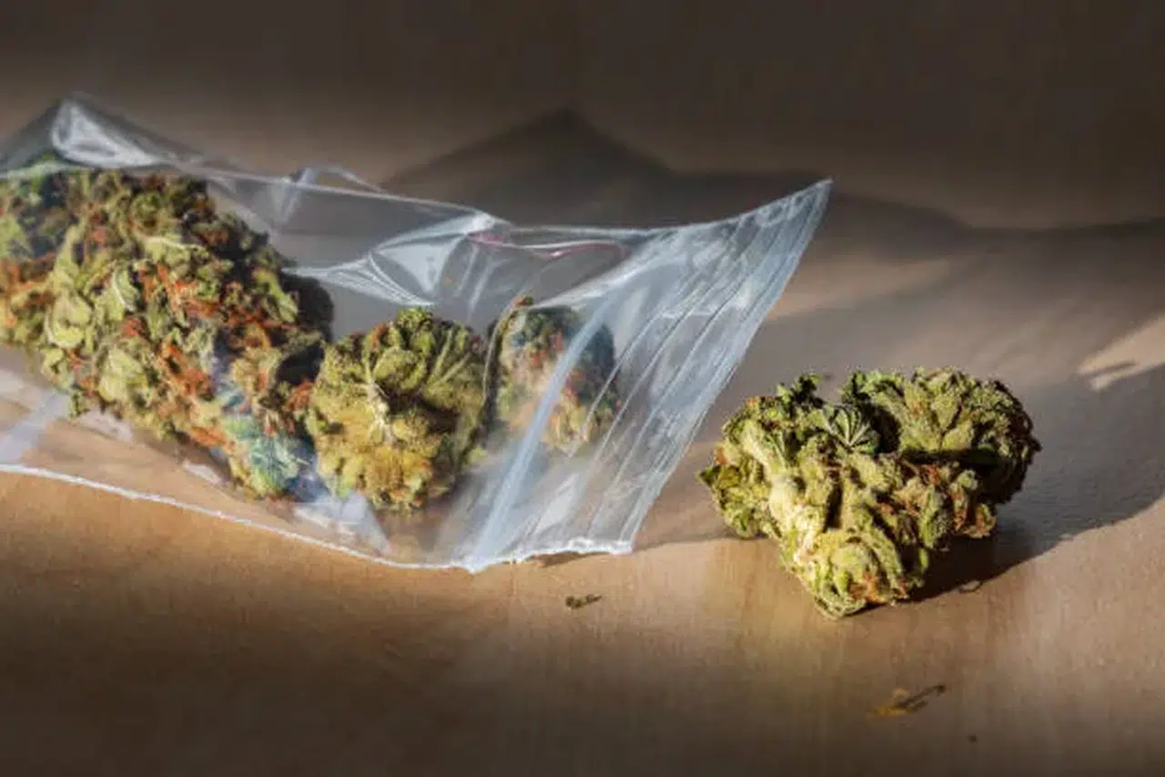 Marmaris’te Kavga İhbarı Uyuşturucu Operasyonuna Dönüştü!