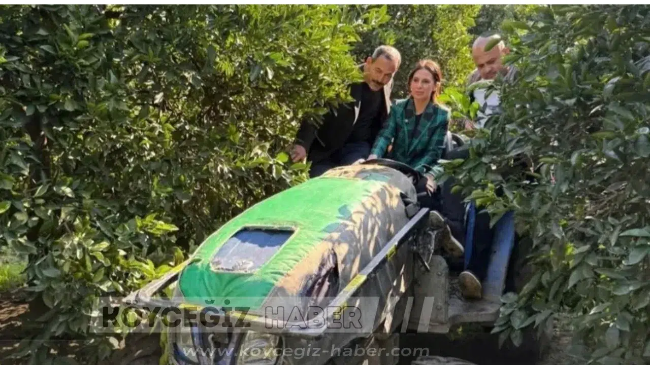 Milletvekili Gizem Özcan Köyceğiz’de Narenciye Üreticilerini Dinledi