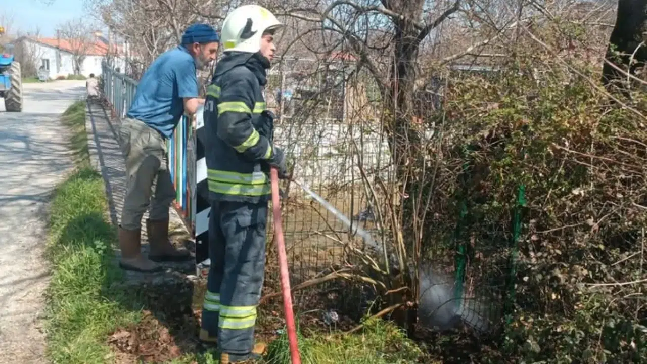 Menteşe’de Otluk Yangını: İpek Böceği Tesisinde Hasar Meydana Geldi