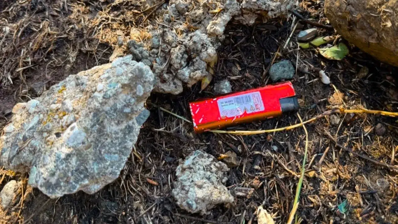 Marmaris'te Ormanı Yakmaya Çalışan Şüpheli Yakalandı
