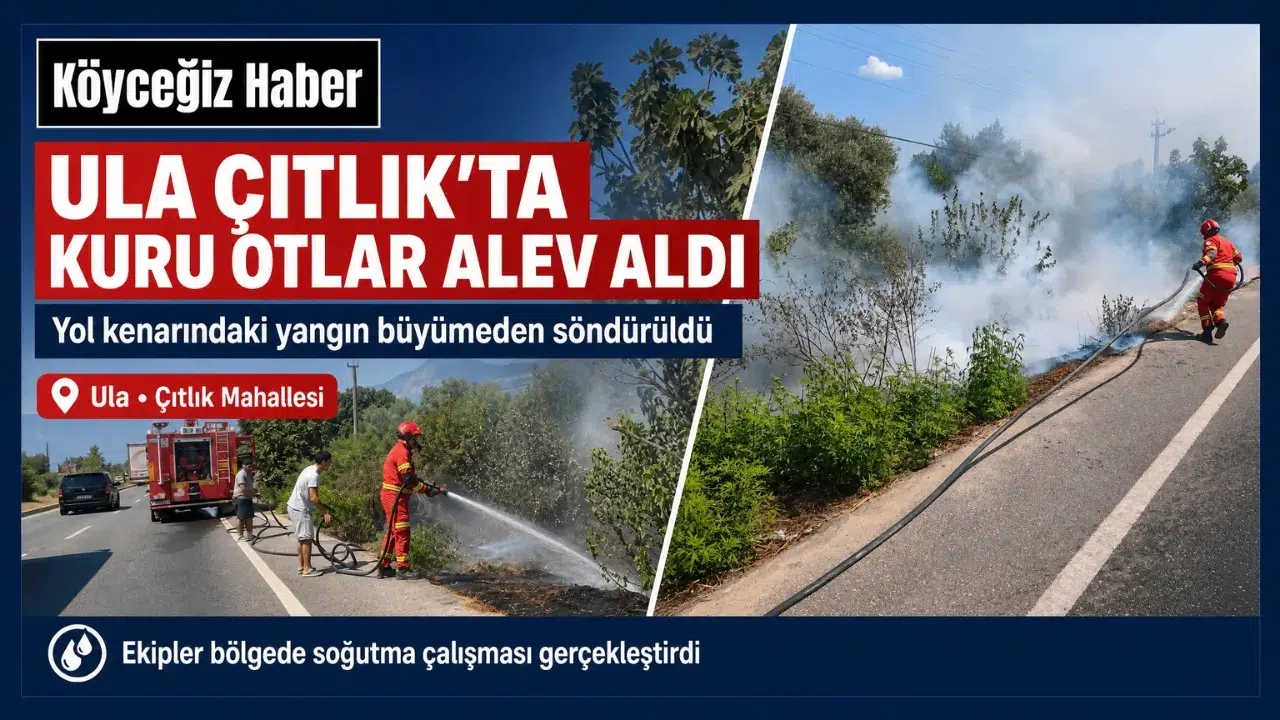 Ula Çıtlık’ta Yol Kenarında Yangın Çıktı