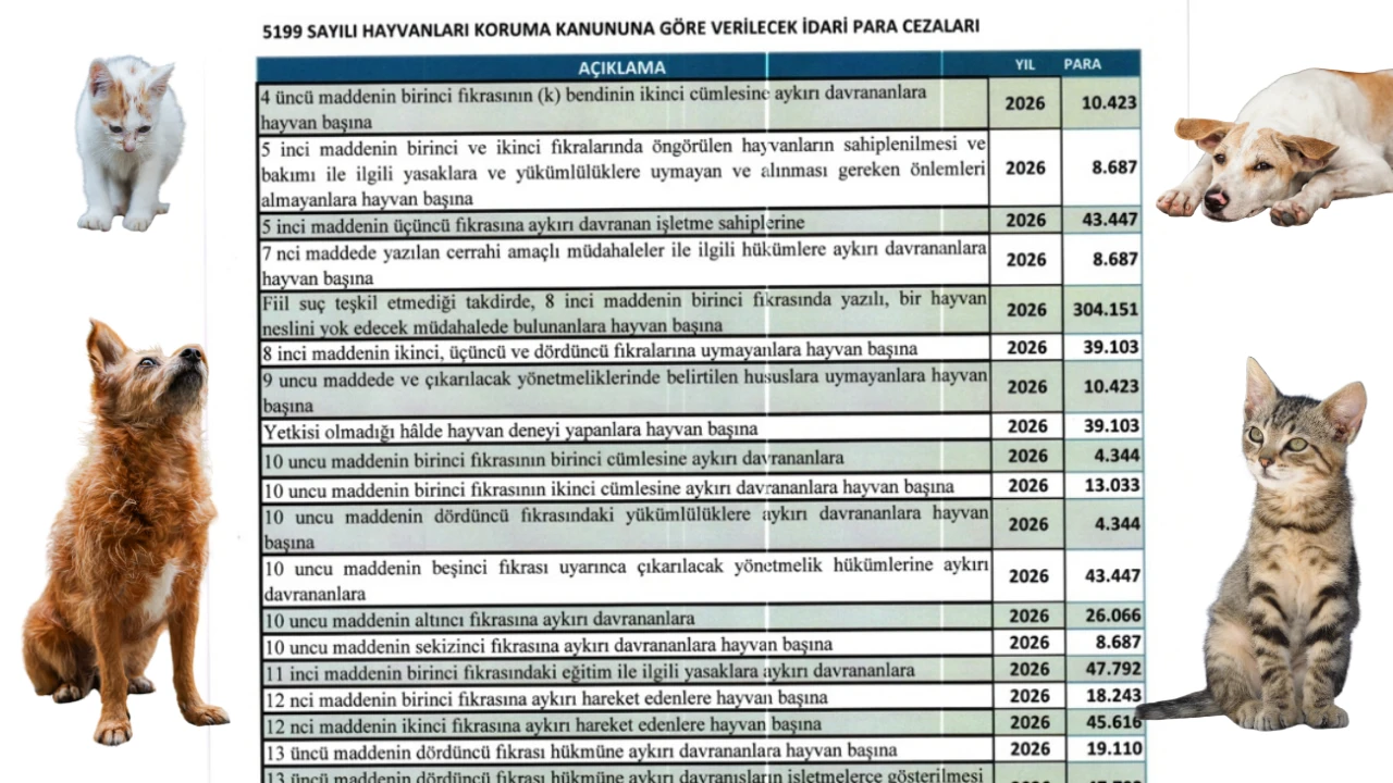 Cezalar El Yakıyor! Köyceğiz'de Hayvan Hakları İhlaline Ağır Yaptırımlar