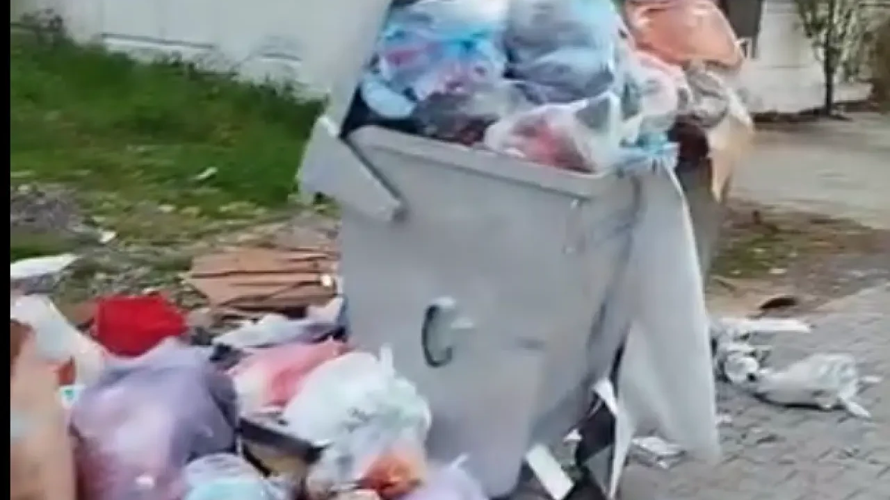 Köyceğiz Yeni Mahalle’de Çöpler 2 Haftadır Alınmıyor: Kriz Büyüyor