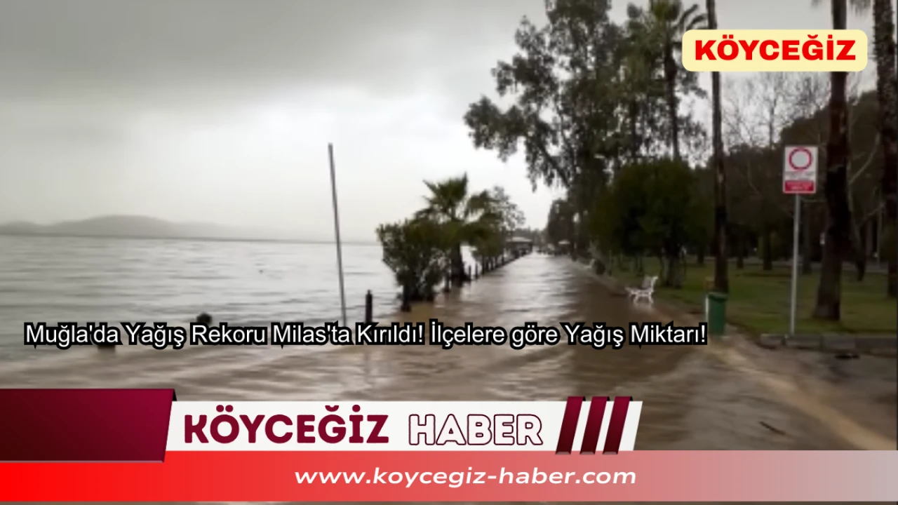 Muğla'da Yağış Rekoru Milas'ta Kırıldı! İlçelere göre Yağış Miktarı!