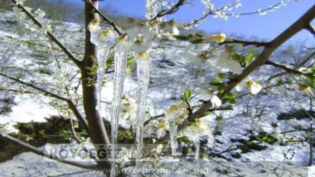 Son Dakika: Muğla'da Kar Yağışı Kapıda! 5 Gün Boyunca Dikkat