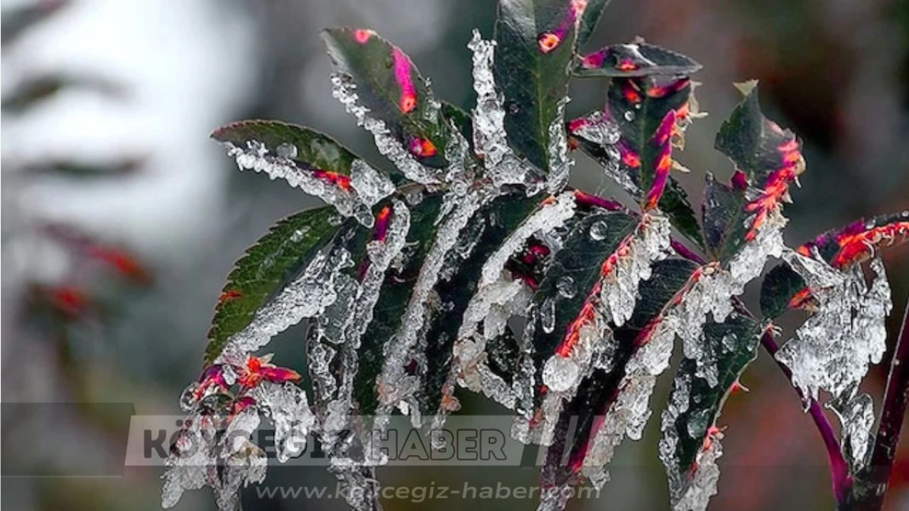 Köyceğiz'de Hava Durumu : Yağış Bitiyor Termometre -2'ye Düşecek