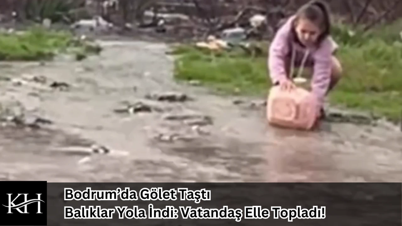 Bodrum’da Gölet Taştı, Balıklar Yola İndi: Vatandaş Elle Topladı!