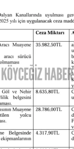 Köyceğiz Gölü ve Nehir Aracı Kullanımına İlişkin Cezalar ve İhlaller 2025