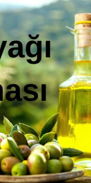 Muğla’da 7. Zeytinyağı Kalite Yarışması Başvuruları Başladı