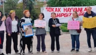 Köyceğiz Canları Platformu: Özgürce Bir Arada Yaşamak için Mücadele Sürecek