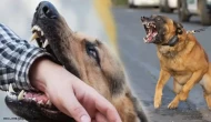 Köyceğiz’de Köpek Saldırısına Uğrayan 11 Yaşındaki Salih’ten Sevindiren Haber