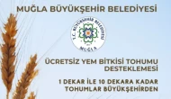 Muğla Büyükşehir Belediyesi’nden Ücretsiz Yem Bitkisi Tohumu Desteği: 1 Dekardan 10 Dekara Kadar Başvuru Alınıyor