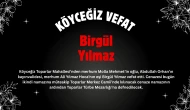 Köyceğiz Toparlar Mahallesi’nden Birgül Yılmaz Vefat Etmiştir