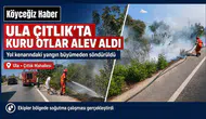 Ula Çıtlık’ta Yol Kenarında Yangın Çıktı