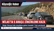Boğa Yokuşu'nda 5 Araçlı Zincirleme Kaza
