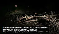 Köyceğiz Toparlar Mahallesi'nde Dev Ağaç Yola Devrildi