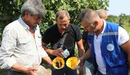 Muğla Büyükşehir'den Köyceğiz ve Ula'da Üreticiye Destek!